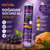 Sambucus_nigra_bağışıklık_güçlendirici Sambucus_nigra_bagisiklik_guclendirici